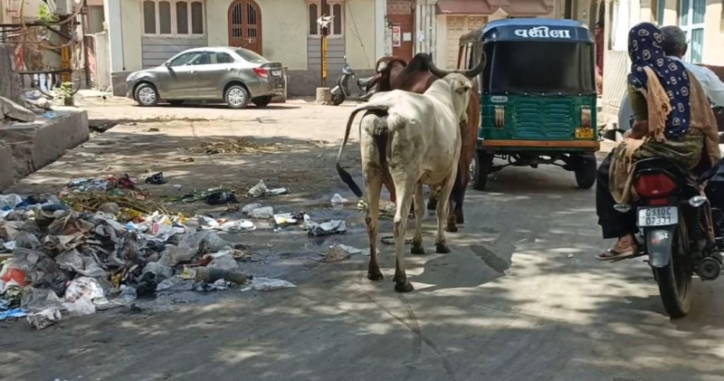 બેનર લગાવીને ગંદકી કરનાર સામે દંડનીય કાર્યવાહી કરાશે તેવી જાહેરાત કરીને લોકોને લોલીપોપ જેવું આશ્વાસન આપવામાં જામ ખંભાળિયાનું પાલિકા તંત્ર માહિર