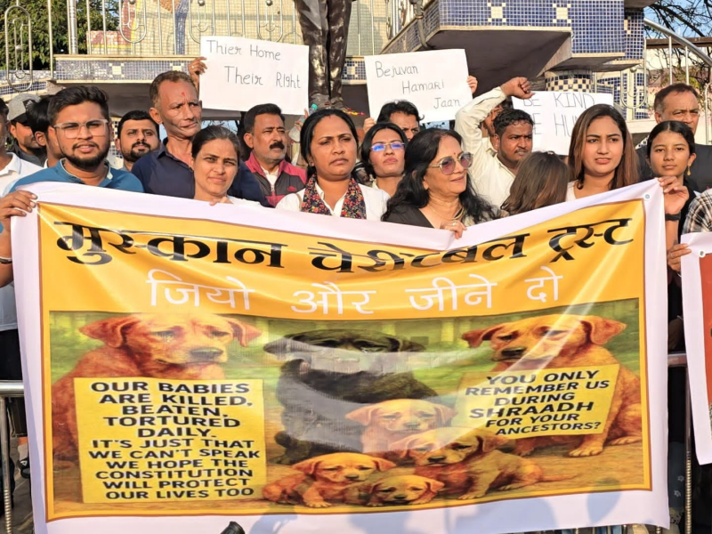 ભરૂચ: અબોલ જીવો પર વધતી ક્રૂરતા સામે જીવદયાપ્રેમીઓનો હલ્લાબોલ -
