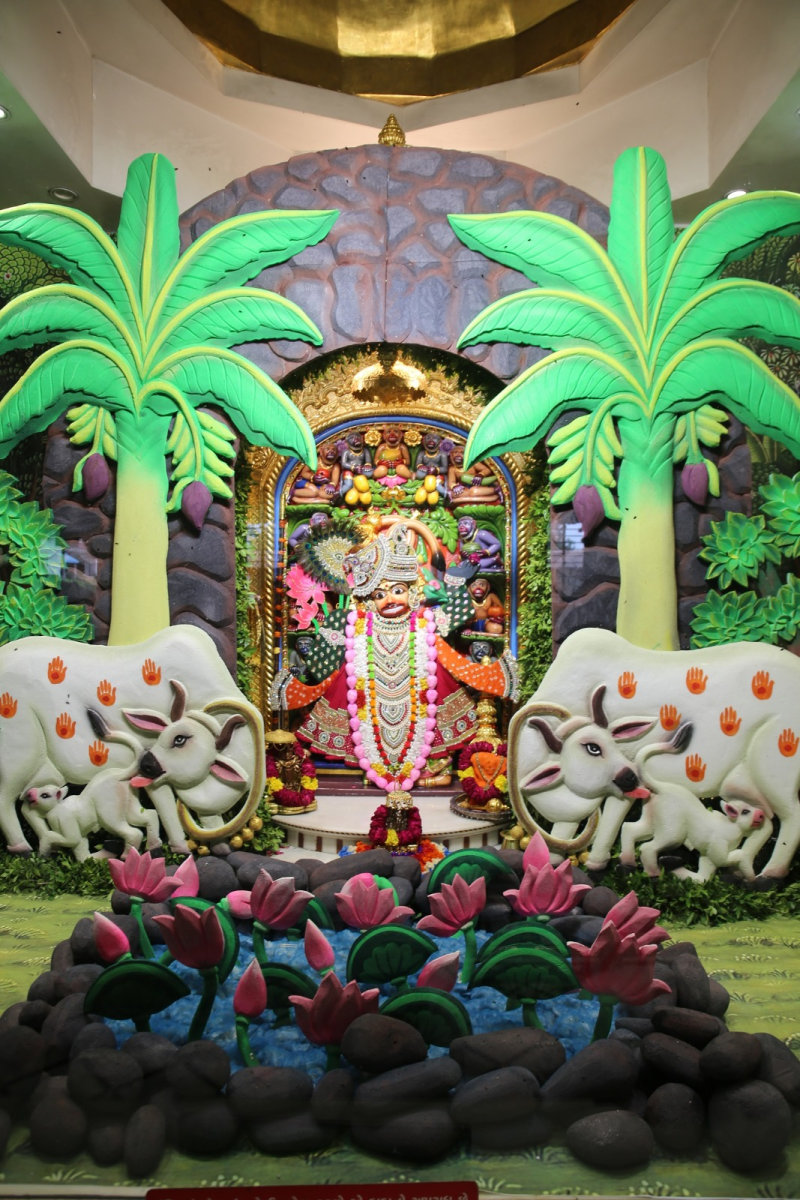 શ્રાવણના પહેલાં મંગળવારે સાળંગપુરના કષ્ટભંજન દેવ હનુમાનજીને શ્રીનાથજીની થીમવાળા વાઘા અને સિંહાસનનો શણગાર મોટી સંખ્યામાં ભક્તોએ દાદાના વિશેષ દર્શનનો લ્હાવો લીધો