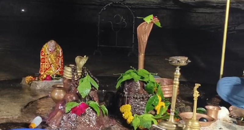 ગીર જંગલમાં ટપકેશ્વર મહાદેવના દર્શને શિવભકતો ઉમટ્યા આ શિવલિંગ પર ટપકે છે અવરિત પાણી અજ્ઞાતવાસ દરમિયાન પાંડવોએ કરી હતી સ્થાપના 