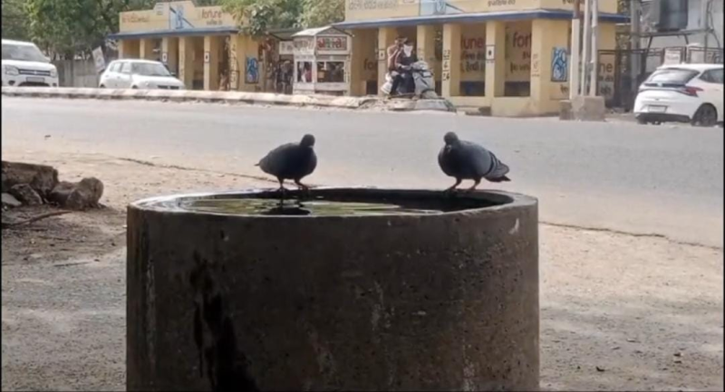 હિંમતનગર શહેરમાં બપોરના સમયે આકાશમાંથી આગ ઝરતી હોય તેવો અનુભવ  સાબરકાંઠા જીલ્લામાં ગરમીનો પારો વધ્યો  આરોગ્ય વિભાગે લોકોને કામ વિના બહાર ન નીકળવા અપીલ કરી 
