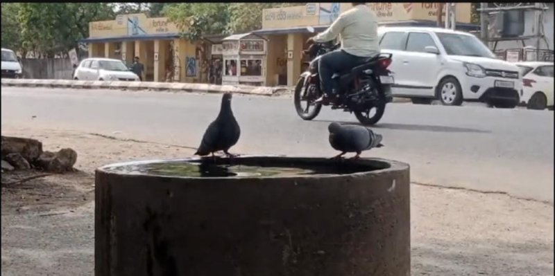 વાવાઝોડા અને આંધી-વંટોળની આગાહી  ગુજરાતમાં વરસાદ તૂટી પડશેઃ અંબાલાલ પટેલની આગાહી  પરેશ ગોસ્વામીએ આપ્યા સંકેત  ભીષણ ગરમી અને હવામાનમા મોટા ફેરફારના સંકેત 