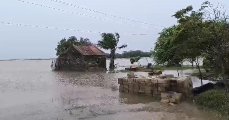 જૂનાગઢ જિલ્લાના ઘેડ પંથકમાં ભારે વરસાદ ને કારણે ઘેડ વિસ્તાર માં ભારે હાલાકી  વરસાદી પાણી અને નદીઓના પાણીએ ઘેડને બેટમાં બદલ્યું