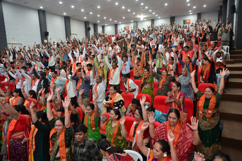 ઉમેદવારીના મામલે મહિલાઓને ઠેગો, ગુજરાતમાં લોકસભાની ચૂંટણીમાં ભાજપ અને કોંગ્રેસે મહિલાઓને ટિકિટ આપવામાં જાણે કંજૂસી દાખવી , 