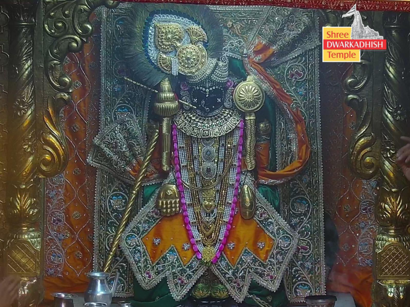 નંદ ઘર પર જય કન્હૈયાલાલ કી, હાથી ઘોડા પાલખી, જય કન્હૈયાલાલ કીના નારા ગુંજી ઉઠ્યા જન્માષ્ટમીની રાજ્યભરમાં ઉજવણી દ્વારકા, શામલાજી, ડાકોર કૃષ્ણમય 