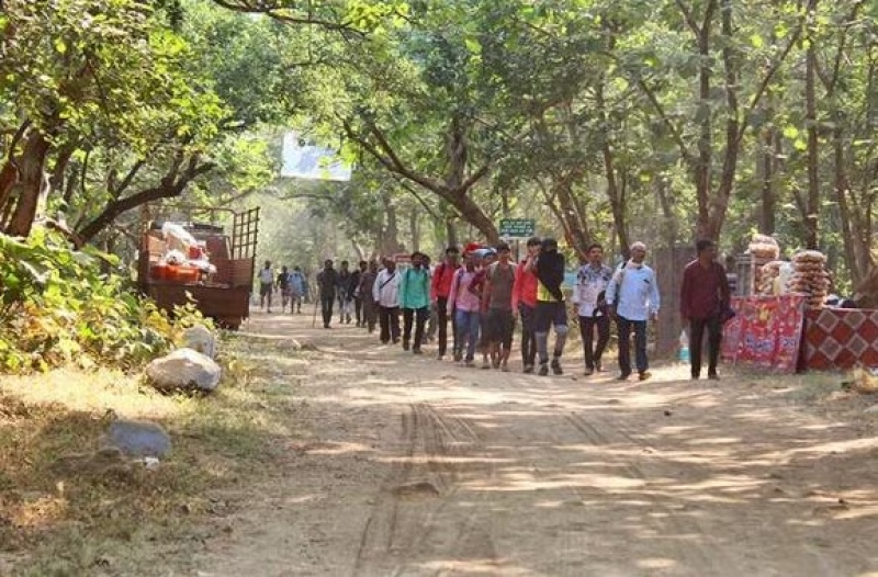 અગિયારસની રાત્રીએ લીલી પરિક્રમાનો વિધિવત આરંભ ગિરનારમાં 33 કોટિ દેવતાનો વાસ છે. પરિક્રમા કરીને ભક્તો તેત્રીસ કરોડ દેવતાના આશિર્વાદ મેળવ્યાનો અનુભવ કરે છે