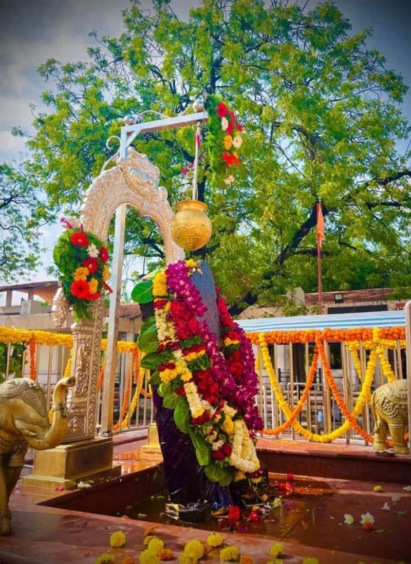 3 ઓક્ટોબર 2024એ શનિનું નક્ષત્ર ગોચર 4 રાશિના જાતકોનું નસીબ બદલી દેશે શનિ શતભિષા નક્ષત્રમાં પ્રવેશ કરી રહ્યાં છે, જેમના સ્વામી રાહુ છે