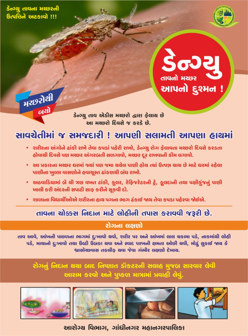 રાજ્યભરમાં આરોગ્ય વિભાગ દ્વારા જુલાઈથી ઓક્ટોબર માસ દરમિયાન ડેન્ગ્યુ નાબૂદી માટે વિશેષ ઝુંબેશ આરોગ્ય શિક્ષણના વિવિધ માધ્યમો – જાગૃતિ અભિયાન દ્વારા ‘ડેન્ગ્યુ મુક્ત ગુજરાત’નું લક્ષ્યાંક  